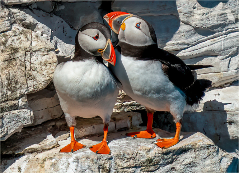 I entered the BBC Countryfile Calendar 2024 Ben Kirby Photography