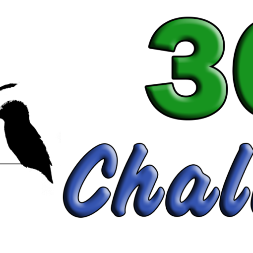 365 Challenge Logo